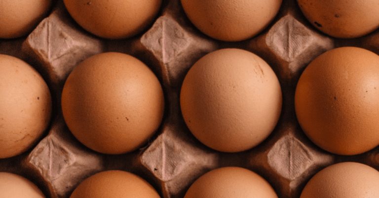 Standardisation of Eggs in Tray