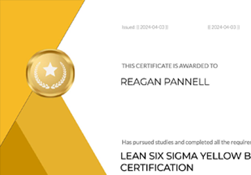 Lean Six Sigma Yellow Belt Course